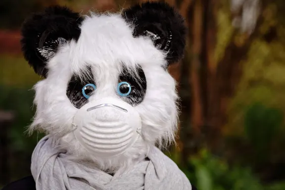 NoxWin Casino Stuðningur